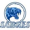 Sturt Sabres (w) logo