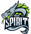 Team Spirit logo