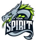 Team Spirit logo