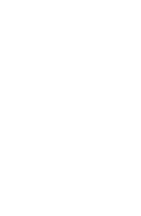 Shopify Rebellion logo