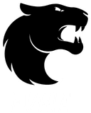 FURIA logo
